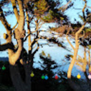 Meet your Posher, Adrienne